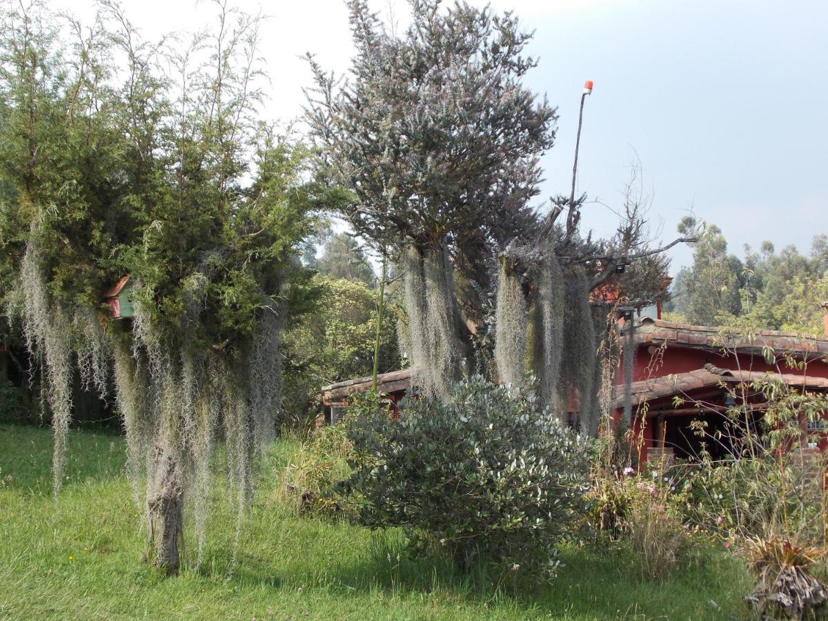 Turistica Joseph Сasa de vacaciones La Isla (Cundinamarca)