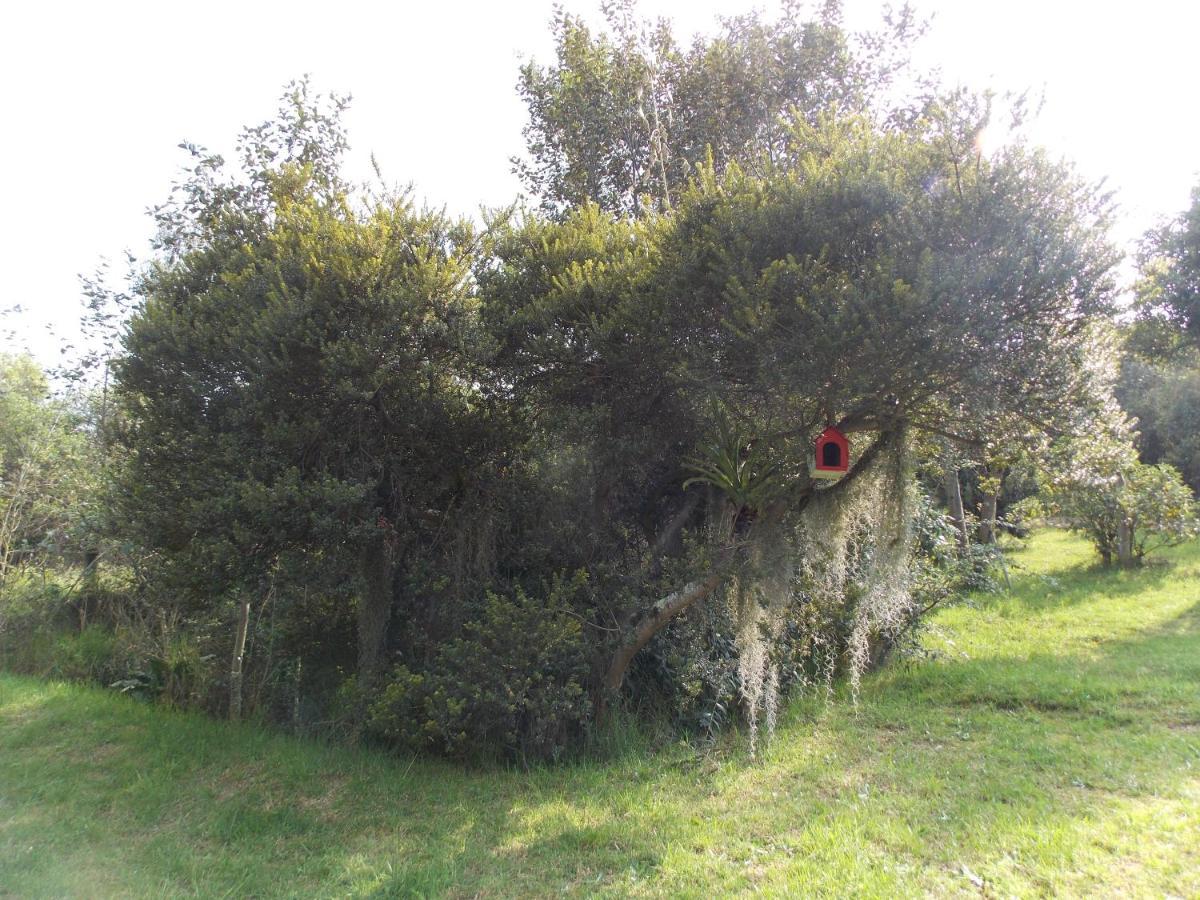 Turistica Joseph Holiday home