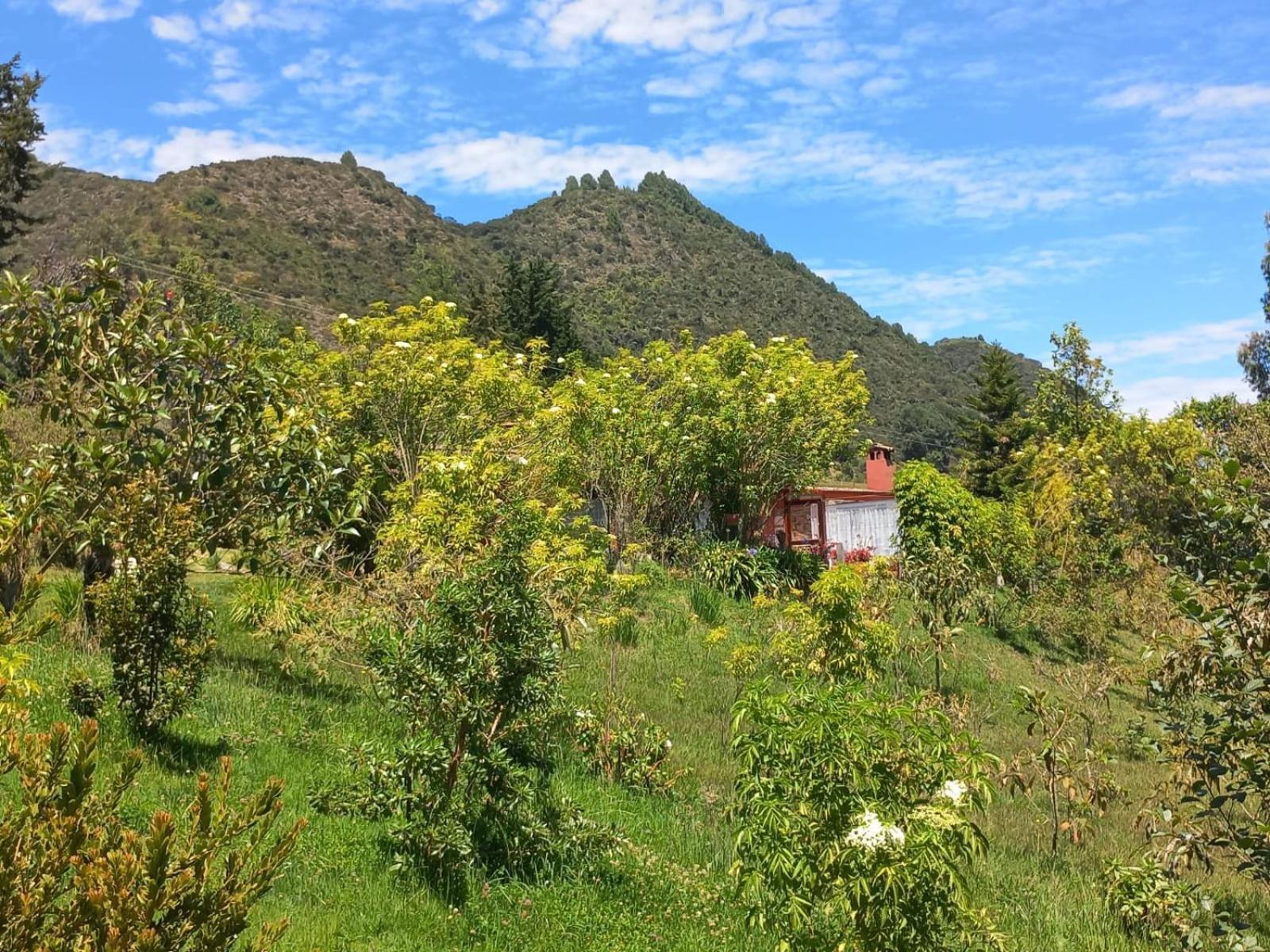 Turistica Joseph Holiday home