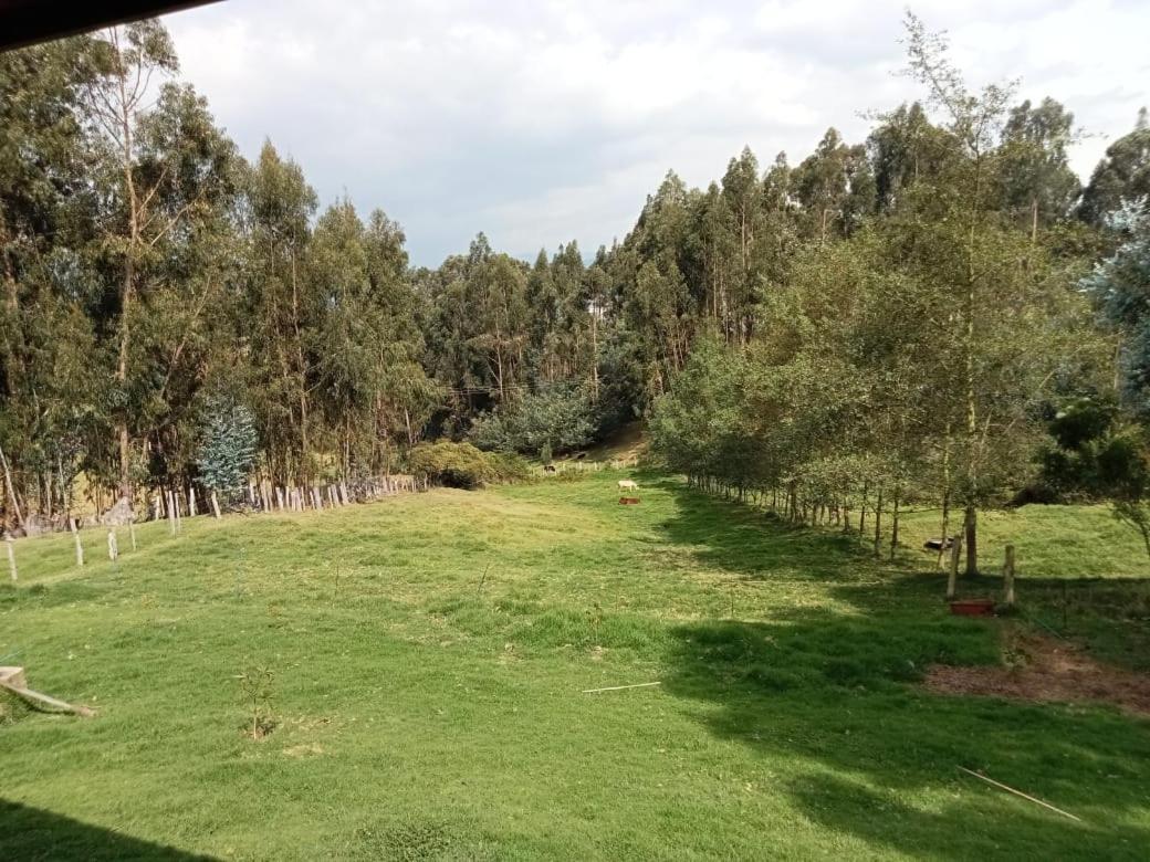 Turistica Joseph La Isla (Cundinamarca)